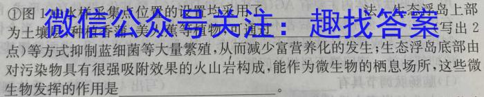 河北省雄安新区2023-2024学年第二学期七年级期末学业质量监测数学