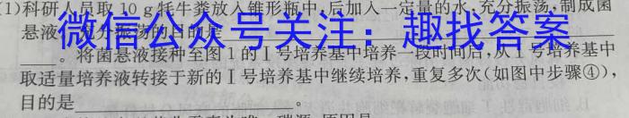 吉林省长春市第二实验中学2024-2025学年度上学期初三优效作业（一）开学考试数学