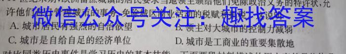 安徽省合肥市庐江县2022/2023学年度七年级第二学期期末教学质量抽测历史