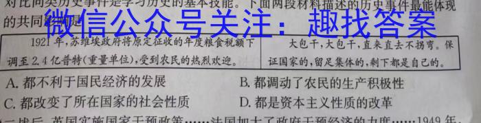 山西省2024~2023学年度八年级下学期阶段评估(二) 7L R-SHX历史