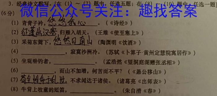 天一大联考 2023年河南省普通高中招生考试考前模拟试卷语文