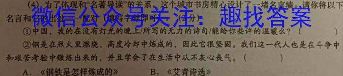 厦门市湖滨中学2022-2023学年第二学期高二期末质量检测(6月)语文