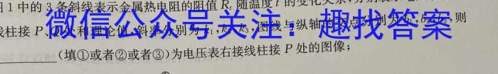 2023年陕西省九年级临考冲刺卷（A）物理.