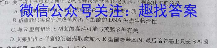 甘肃省定西市2022~2023学年度第二学期八年级期末监测卷(23-01-RCCZ13b)数学