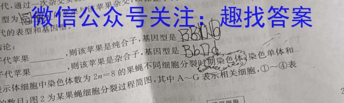 山西省长治市2024届高三年级9月质量检测数学