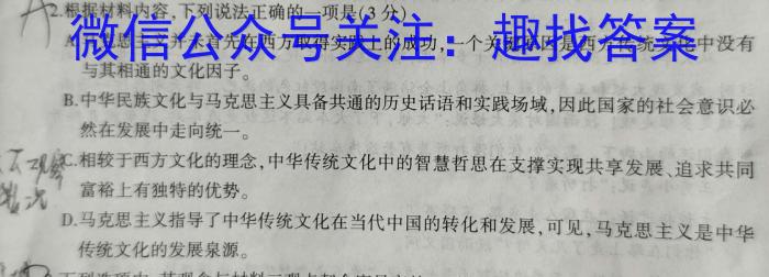 环际大联考 圆梦计划2023年普通高等学校招生适应性考试(5月)语文