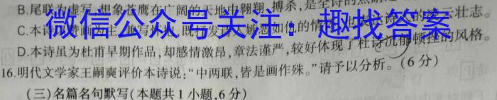 湘豫名校联考 2024-2023学年高二(下)6月阶段性考试语文