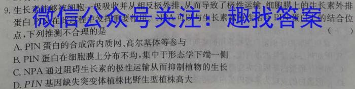 全国名校大联考 2024~2025学年高三第二次联考(月考)试卷数学