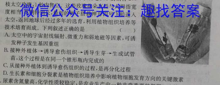 2025届云南三校高考备考实用性联考卷(五)(白白白白黑白黑)数学