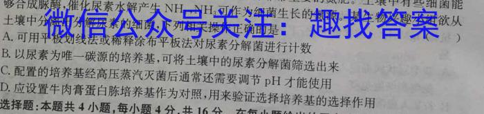 山东省潍坊市2023-2024学年高一上学期期中质量监测数学