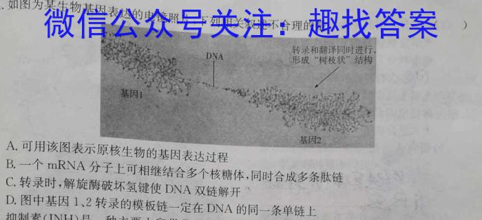 河北省唐山市2023-2024学年第二学期七年级期中检测卷数学