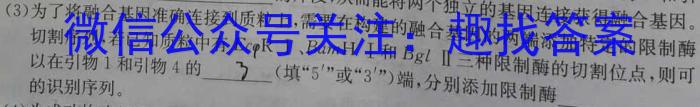 江西省2024年九年级中考总复习模拟卷（一）数学