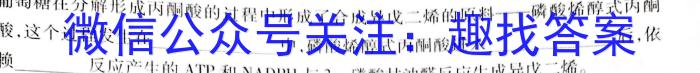 陕西省2023高考信心提升卷(6月)数学