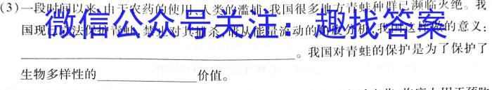 六盘水市纽绅中学2023-2024学年高二下学期4月月考(4353B)数学