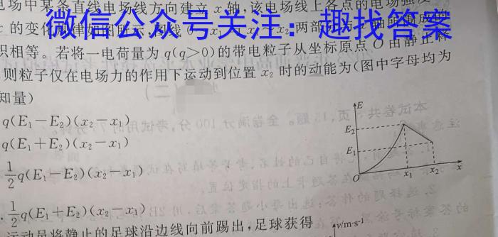 2023年泰安市高考全真模拟试题(23-360C)物理`