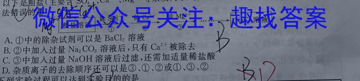 山西省2024-2023学年度八年级期末评估卷【R-PGZX E SHX（八）】化学