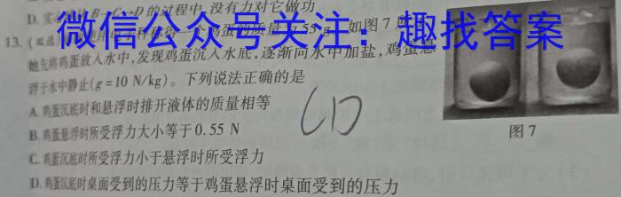 2023年江西省初中学业水平考试 定心卷物理`