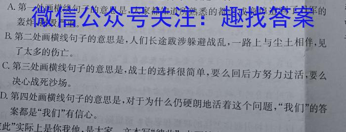 江西省2023年初中学业水平考试冲刺练习（二）语文