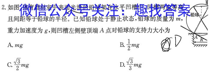 广西省柳州市校际联盟高二年级期末考试(23-577B)物理.