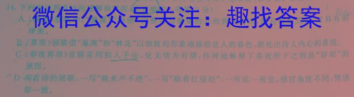 安徽省C20教育联盟2023年中考最后典题卷(二)语文