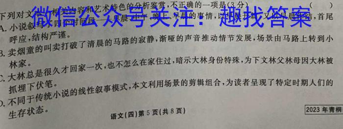 2023年普通高等学校招生统一考试青桐鸣高三5月大联考（新教材）语文