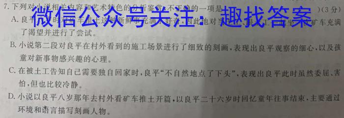 巢湖四中2022~2023年度高一下学期期末考试(231813Z)语文