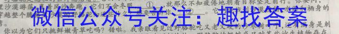 九师联盟 2022-2023高三5月考前押题(X)G语文