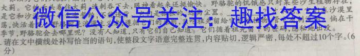 2023年河北省初中毕业生升学文化课考试 冲刺(二)语文