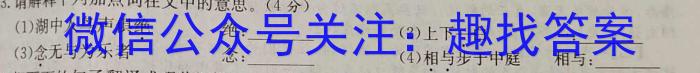 天一大联考·皖豫名校联盟2022-2023学年(下)高一年级阶段性测试(期末)语文