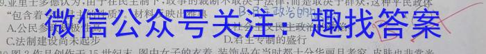 安徽省毫州市涡阳县2022-2023学年度八年级第二学期期末质量检测历史