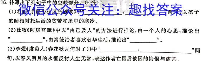 2023年江西学业水平考试模拟卷（CC2）语文
