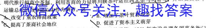 九师联盟2022—2023学年高二下学期6月摸底考试（X）历史