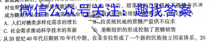 陕西省咸阳市2022~2023学年度高二第二学期期末教学质量调研检测历史