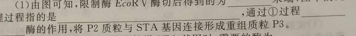 [高考仿真模拟]2023届九师联盟高三年级5月质量检测（XG）数学考试