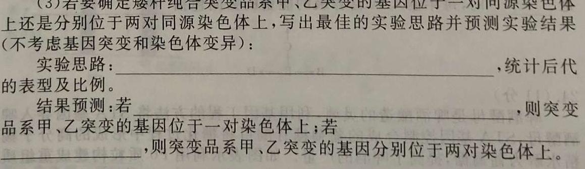 郴州市2023年上学期高一期末教学质量监测试卷数学考试