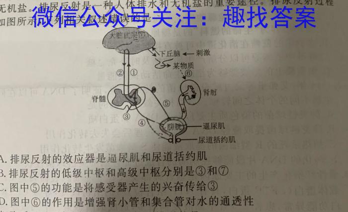 金科大联考·2023~2024学年度高一年级10月质量检测(24051A)文理 数学