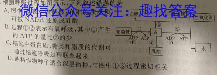 安徽省2023-2024期末七年级质量检测卷(H)2024.6数学