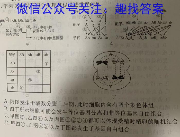 2024年”江南十校”高二年级12月阶段联考数学