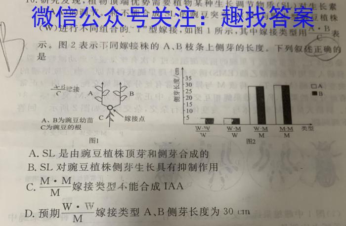 安徽省2023-2024学年八年级下学期教学质量调研一数学