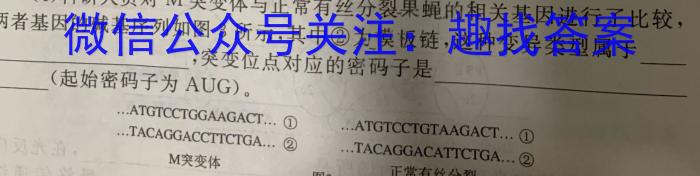 2023年广西三新学术联盟高一年级5月联考数学