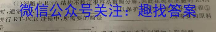 河南省南阳市镇平县2024年春期九年级调研测试（二）数学