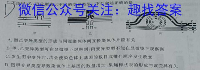 江西省2024年中考模拟示范卷（四）数学