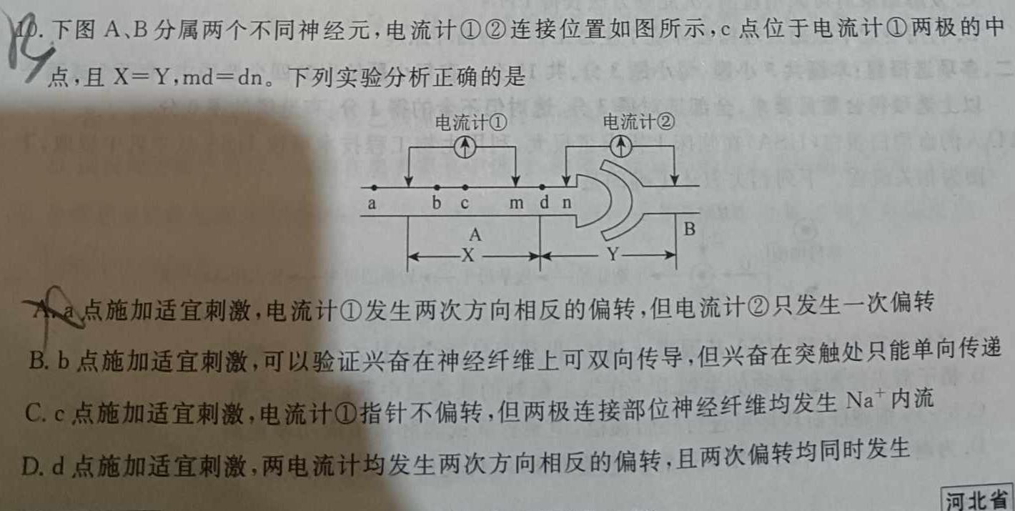 山东省2023届下学期高三（05）大联考【JKHM】数学考试