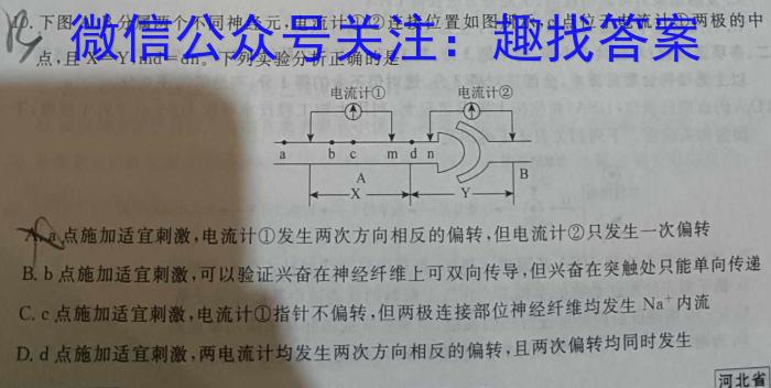 2024届高三一起考大联考(模拟三)数学