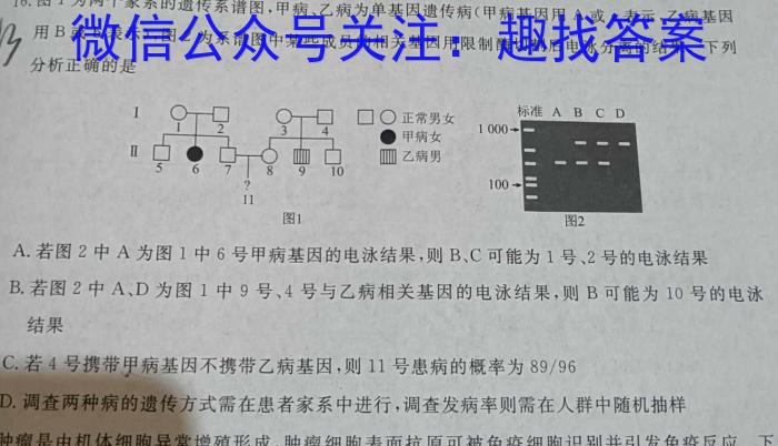 ［湖北大联考］湖北省2025届高三年级上学期8月联考数学