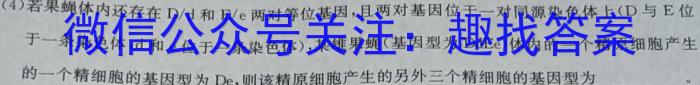 2024届广东省九年级中考真题数学