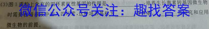 山西省2023-2024学年第一学期九年级阶段性检测三数学