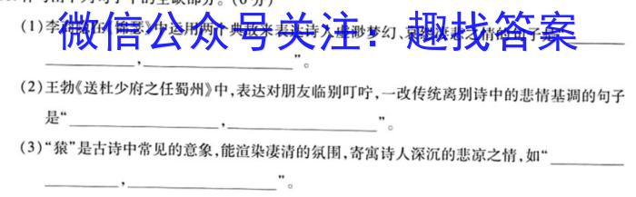 2023年湖南省高三年级5月联考（524C·HUN）语文