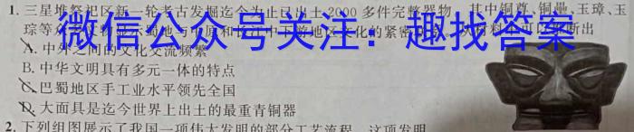 巢湖四中2024~2023年度高一下学期期末考试(231813Z)历史