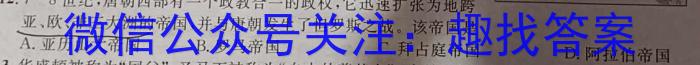 九师联盟2024—2023学年高二下学期6月摸底考试（L）历史